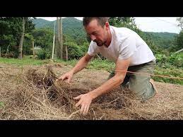 Cover Your Survival Garden With Hay And