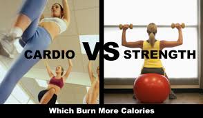 which burns more calories weights or
