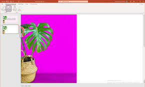 picture transpa in powerpoint 2022