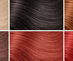 Complete Colored Hair Extensions Dyeing Color Chart