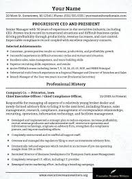 Chief Compliance Officer Resume Airexpresscarrier Com