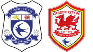 Cardiff city fan haley evans told bbc radio wales: Cardiff City Supporters Trust Fans Not Consulted Over Rebranding Bbc News