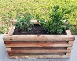 diy planter box for berries and other