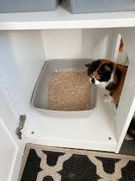 diy a cat cupboard and private bathroom