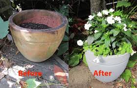Instant Glam To A Tired Old Terracotta Pot