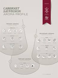 Infographics Guide To Cabernet Sauvignon Wine Grape