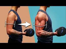 how to force muscle growth 5 science