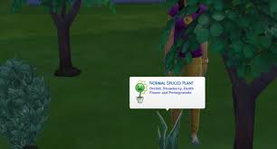 The Sims 4 Grafting And Take Cutting