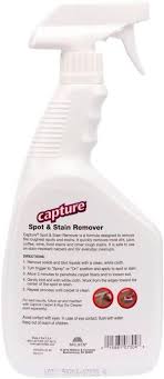 stain remover carpet dirt juice