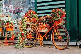 29 Mind Blowing Bicycle Planter Ideas