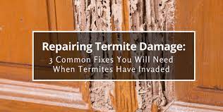 termites have invaded