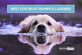 Dog Boat Ramps Ladders For Pontoons