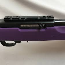 clark custom 10 22 hogue purple