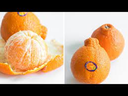 sumo citrus mandarin oranges seedless