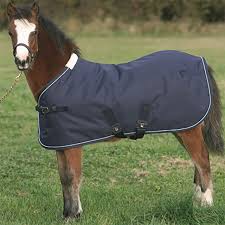 mark todd foal turnout rug light