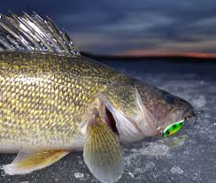 Blade Baits For Walleye Lureore