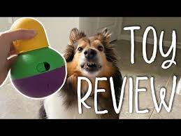 testing top rated dog puzzle toy 3