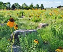 Fantasy Gardens At Epic Systems