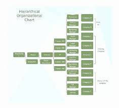 Organizational Chart Template Word Fresh 40 Free