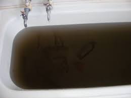 dark brown water from waverley tap
