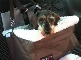 Solvit Medium Tagalong Dog Car Booster Seat