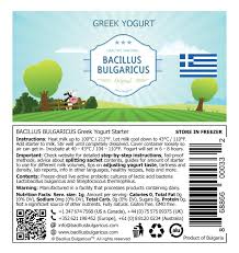 greek yogurt starter bacillus bulgaricus