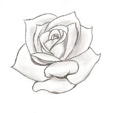 See more ideas about tattoo stencils, tattoos, body art tattoos. Black And White Rose Tattoo Stencil Novocom Top