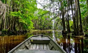 Maybe you would like to learn more about one of these? For The Canoers And Kayakers Caddo Lake State Park Houstonia Magazine