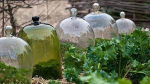 Garden Cloche Vintage Beauty Under