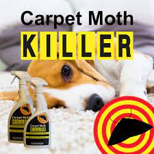 moth control spray proofer moth