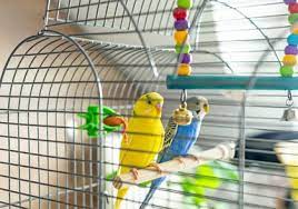bird cages and stands reviews ing