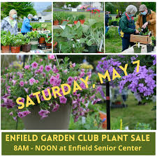 enfield garden club annual plant s