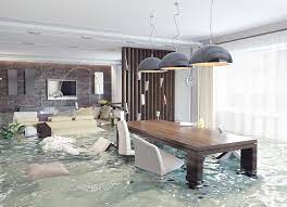 insurance company after a disaster