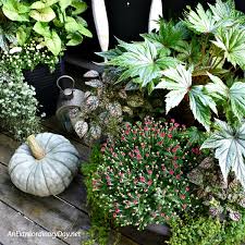 Refresh A Container Garden For Fall