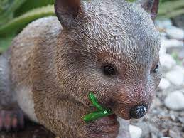 29cm Wombat Eating Leaves Australian