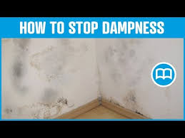 Damp Proof Paint Bathrooms Damp