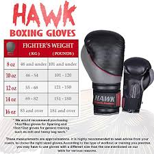 Hawk Boxing Gloves Training Gloves Sparring Black Grey With