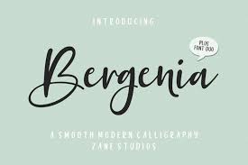 The licence mentioned above the download. Bergenia Script Font Duo 290345 Calligraphy Font Bundles