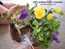 A Fairy Gift Myo Edible Fairy Garden