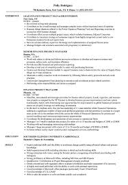 Start your bullet points or statements with strong action verbs. Finance Project Manager Resume Samples Velvet Jobs
