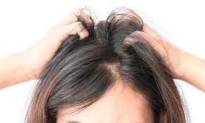 زراعة الشعر للنساء: قبل وبعد العملية والتكلفة المتوقعة - تركي ويز