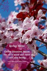 These spring haiku poems are examples of haiku poems about spring. Spring Haiku Poems To Put A Spring In Your Step Icreatedaily