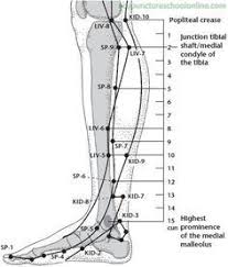 Acupuncture Points Leg 1000 Images About Meridian Charts On