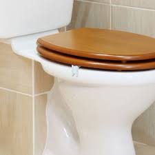 Steady Seat Toilet Seat Buffers Mend