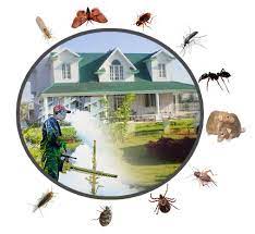 Home pest control services in Trivandrum