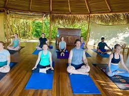 top 10 yoga and surf retreats in nosara
