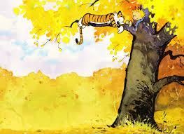 Image result for calvin and hobbes