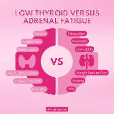 adrenal fatigue vs low thyroid dr