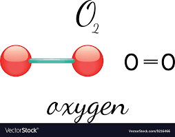 o2 oxygen molecule royalty free vector