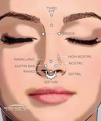 There are many different types of nose piercing. The Piercing Dictionary Nose Piercings Bodycandy